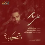 دانلود آهنگ جدید از علی سالمی به نام دلتنگی باران